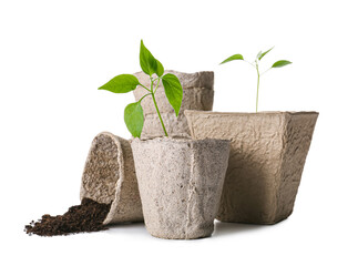 Peat pots with soil and green seedling on white background