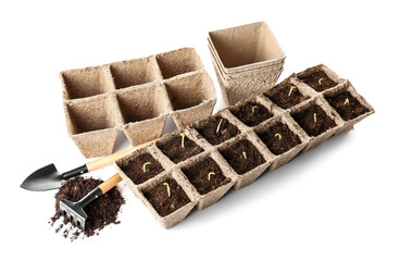 Peat pots with soil and green seedling on white background