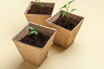 Peat pots with soil and green seedling on color background