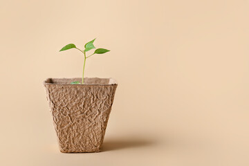 Peat pot with soil and green seedling on color background