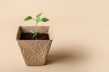 Peat pot with soil and green seedling on color background