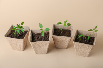 Peat pots with soil and green seedling on color background