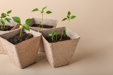 Peat pots with soil and green seedling on color background