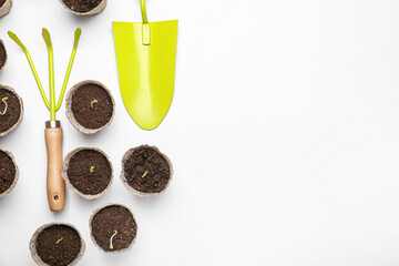 Peat pots with soil and green seedling on white background