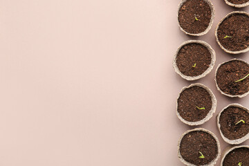 Peat pots with soil and green seedling on color background