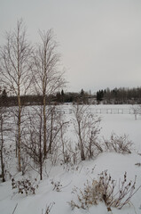 Astotin Lake Frozen in Winter