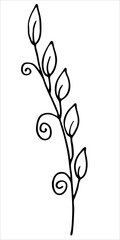 Fantastic flower. Doodle. Black and white image. Minimalism. Vector graphics. Isolated on white background. 