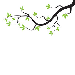 Fototapeta premium Breach Logo Template vector symbol nature