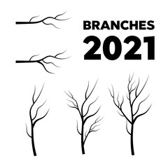 Leaves, swirls and floral elements. Olive branch. Vector tree branches silhouette