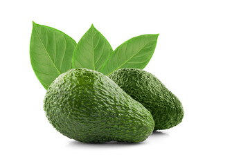 avocado isolated on a white background