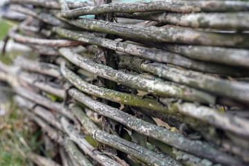 Fototapeta na wymiar Fence of old dry twigs. Background wood. Vintage. Selective focus on a middle part of image. Bokeh effect.