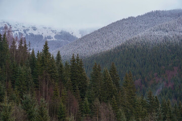 Idyllic winter mountain landscape. Foggy. Nature concept.