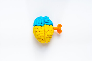 Ideas concept. Work of brain - model made of colorful clay, top view