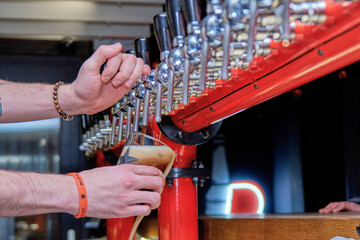 Bartender pouring beer standing at the bar counter. Pouring a large lager beer in tap for client.