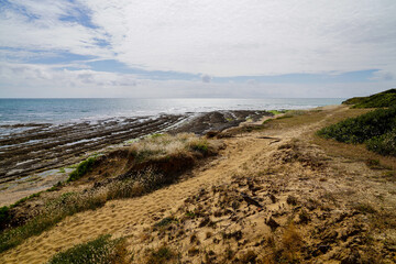 path access dune sandy beach low tide in Talmont vendee atlantic ocean France
