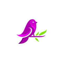 Bird Cute Logo Simple Design