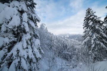 Paysage enneigé dans le massif du Sancy 