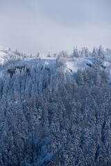 Paysage enneigé dans le massif du Sancy 