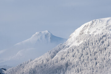 Paysage enneigé dans le massif du Sancy 