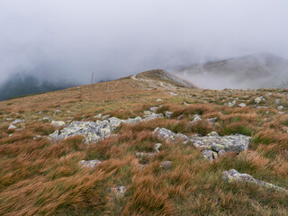 View of mountain meadow, grassy hills with footpath of hiking trail in a dangerous thick fog with...