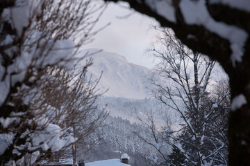 Paysage enneigé dans le massif du Sancy 