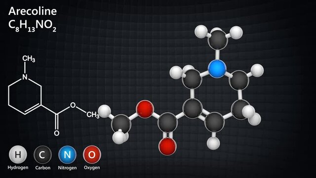 Arecoline (C8H13NO2) is a nicotinic acid-based mild stimulant alkaloid found in the areca nut. 3D render. Seamless loop. Ball and Stick chemical structure model.