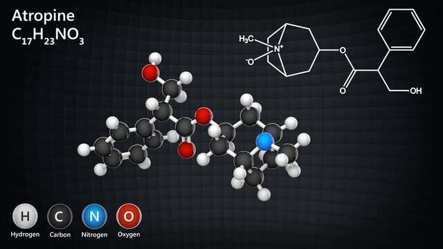 Atropine (Atropen) is a medication used to treat certain types of nerve agent. Formula: C17H23NO3. 3D render. Seamless loop. Ball and Stick chemical structure model.