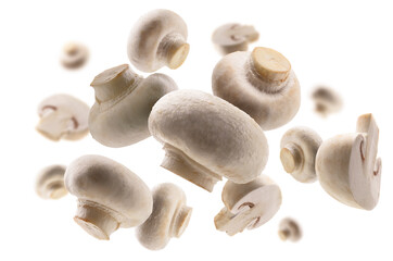 White mushrooms levitate on a white background