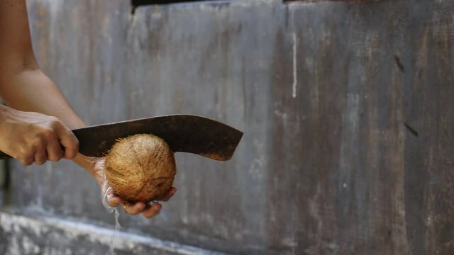 Woman breaking fresh raw organic coconut with knife, cut open in half coconut water splash heap of many coconuts 4K slow motion video , footage in coconut plantation. A lot of fresh coco Kerala India.