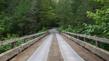 Fototapeta na wymiar A center view of a sunlit, single lane bridge on a rural road surrounded by a dense lush woodland