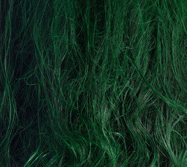 background of dirty dark green hair