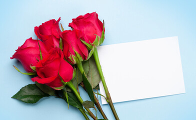 Valentines day greeting card with red rose flowers