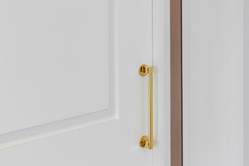 Luxury golden white wooden door
