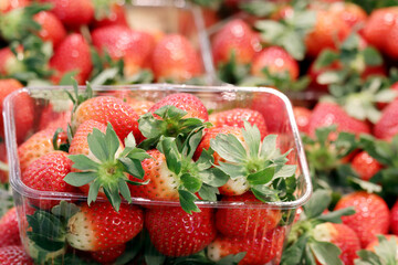 Fresh strawberries with leaves in a supermarket. Ripe strawberry in plastic containers