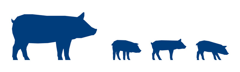 Low poly sow with piglets on white background. Blue silhouettes. Vector Illustration