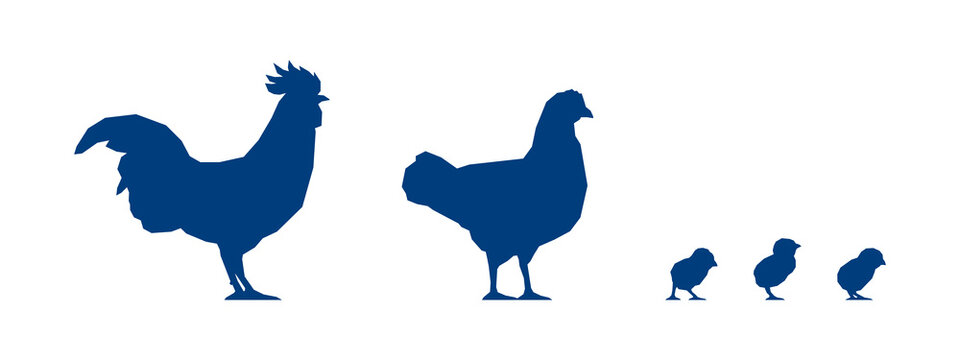 Low poly rooster, chicken and chicks on white background. Blue silhouettes. Vector Illustration