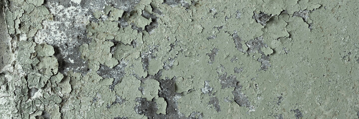 Peeling paint on the wall. Panorama of a concrete wall with old cracked flaking paint. Weathered rough painted surface with patterns of cracks and peeling. Wide panoramic texture for grunge background