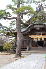 shinto shrine in izumo in japan 