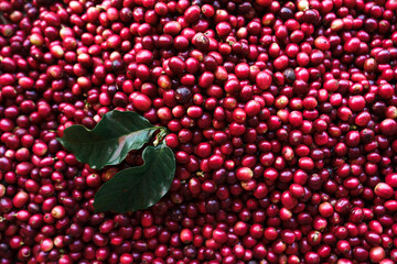 red coffee In the sack and on the hand