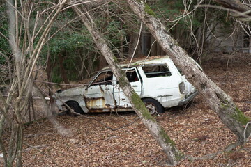 白い廃車