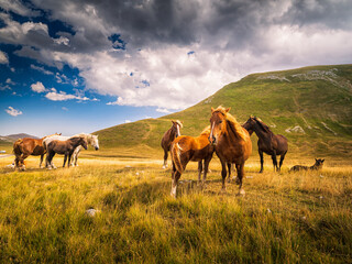 Campo Imperatore