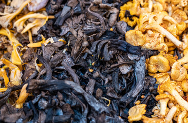 Wild Chanterelle Mushrooms For Sale At Borough Market, London