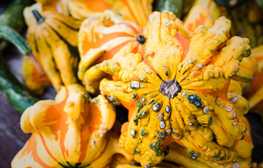 Tennessee gourds on a sale in an Amish store in Nolensville, Tennessee.