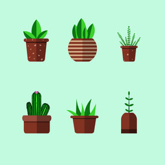 Obraz premium Set Of Potted Plant