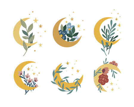 Magic moon collection. Vector moon and stars boho set. Celestial graphic elements with flowers and plants