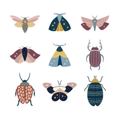 Vector insect set. Cute bugs, butterflies, moths and beetles. Hand drawn insects
