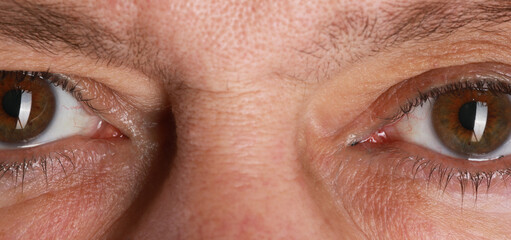 Obraz premium macro eyes of an old man close up