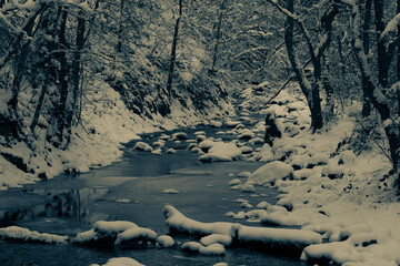 Mountain river bed with wooded banks. Trees and stones in the water are covered with fluffy snow.