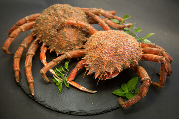 raw atlantic crab close-up on black background, soft focus
