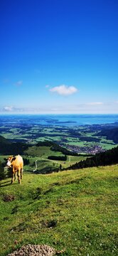 Laubenstein am Chiemsee